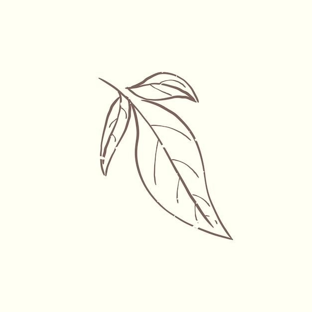 Free vector illustration of plant