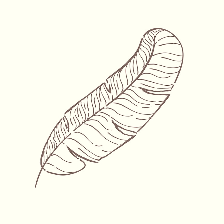 Free Vector illustration of plant