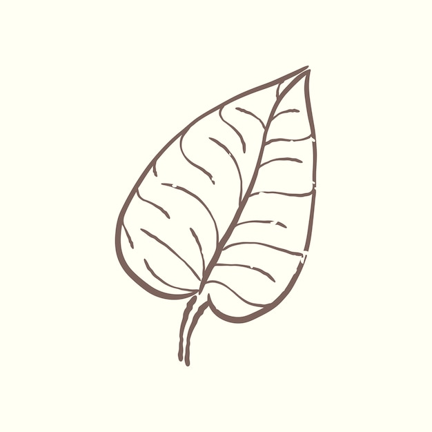 Illustration of plant