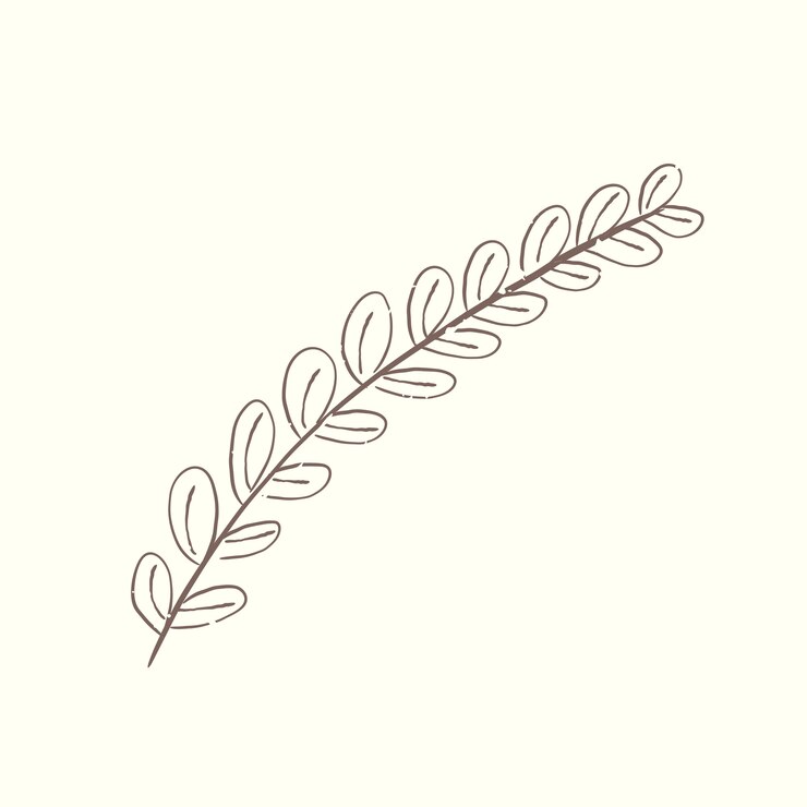 Free Vector illustration of plant
