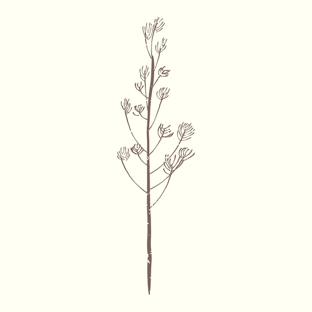 Free vector illustration of plant