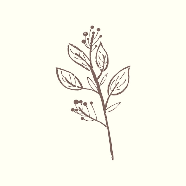 Free vector illustration of plant