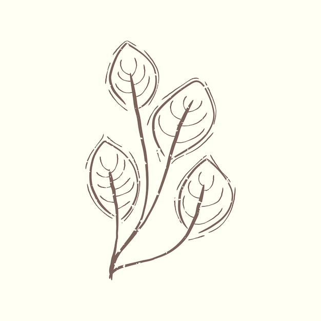 Urtica herb nettles plant hand drawn Royalty Free Vector