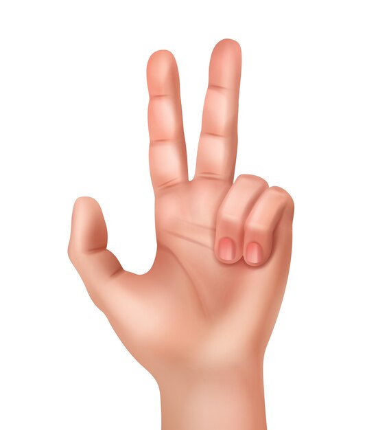 illustration of realistic human hand showing victory sign