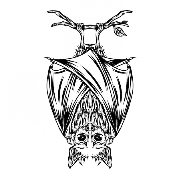 Illustration scare bat illustration hang on branch Premium Vector