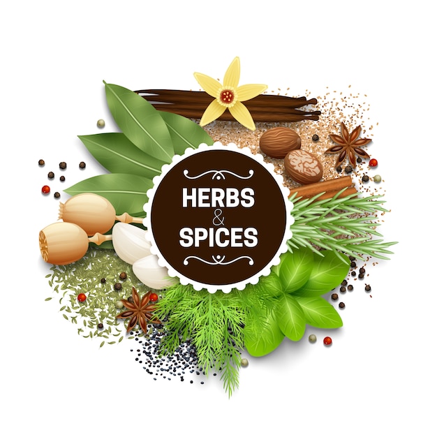 Illustration of set with different types of herbs and spices vector illustration