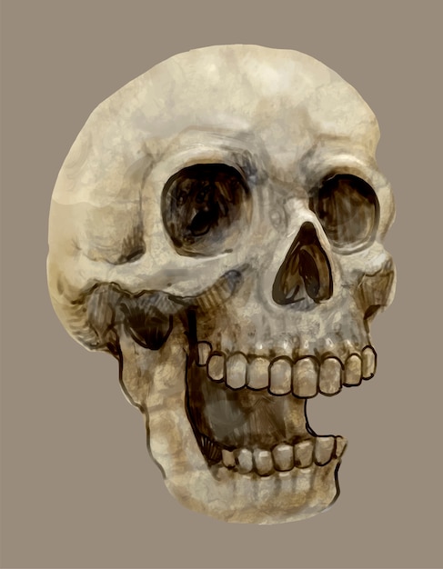 Illustration of a skull icon for Halloween