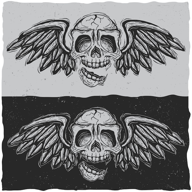 Illustration of skull with wings