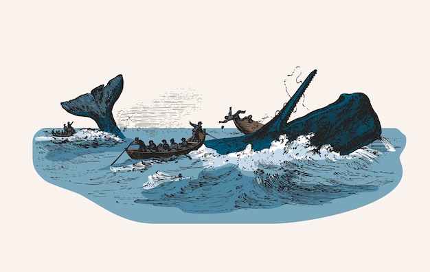 Free vector illustration of the sperm whale while attacking fishing boat