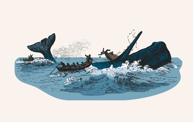 Иллюстрация кашалота во время нападения на рыболовное судно