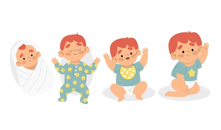 Free Vector illustration of stages of a baby boy