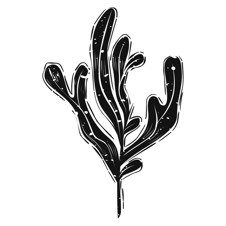 Free Vector illustration of summer and beach object