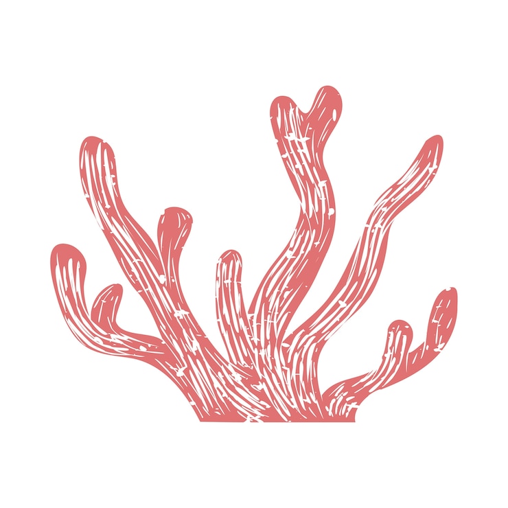 Free Vector illustration of summer and beach object