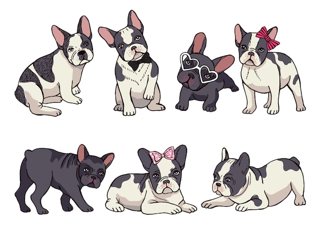 cute little bulldogs