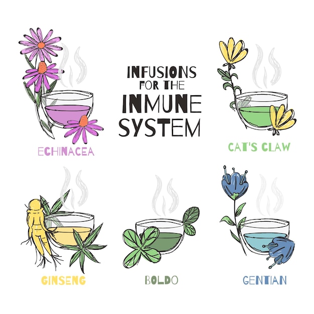 Free vector immune system boosters concept