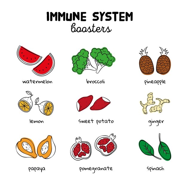 Immune system boosters illustrated