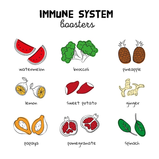 Иллюстрирующие усилители иммунной системы