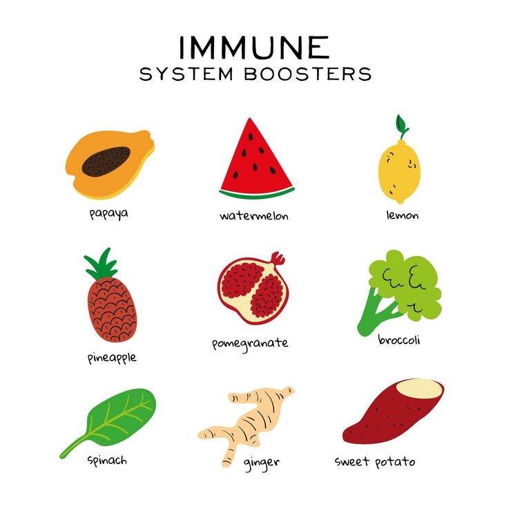 Free Vector immune system boosters