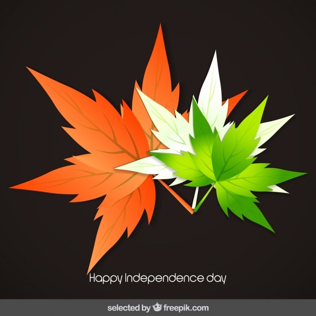 Free Vector independence day of india card with leaves