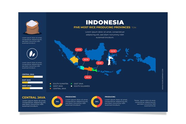 Indonesia map infographics flat design