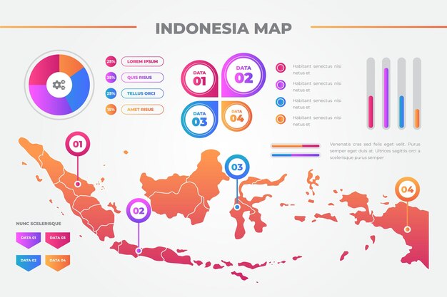 Indonesia map infographics