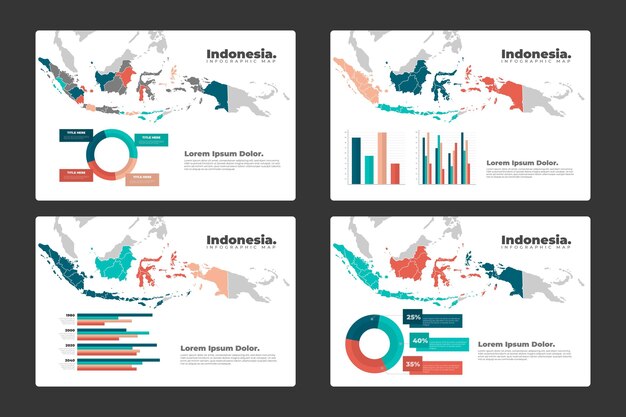 インドネシアの地図のインフォグラフィック