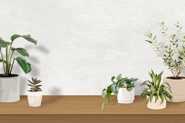空白の壁と屋内植物の背景熱帯ベクトル