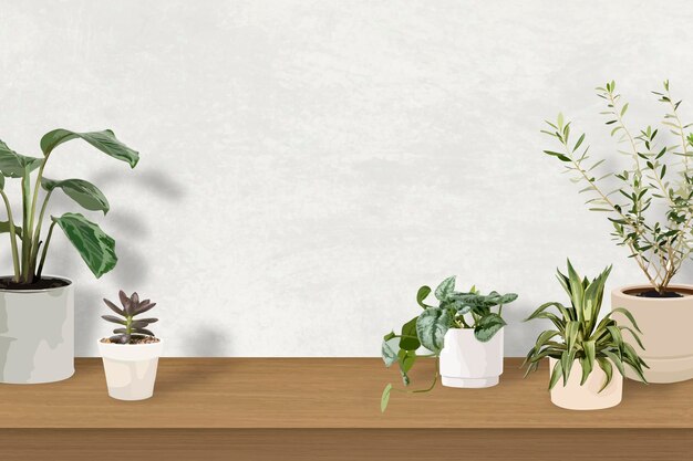 indoor plant background tropical vector with blank wall