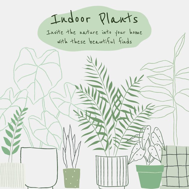 Indoor plants vector template in doodle style