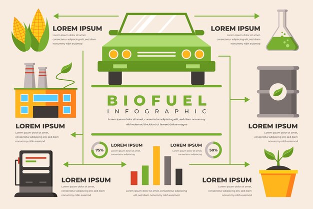 Инфографика индустрии плоского биотоплива