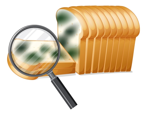 Бесплатное векторное изображение Несъедобный хлеб с плесенью