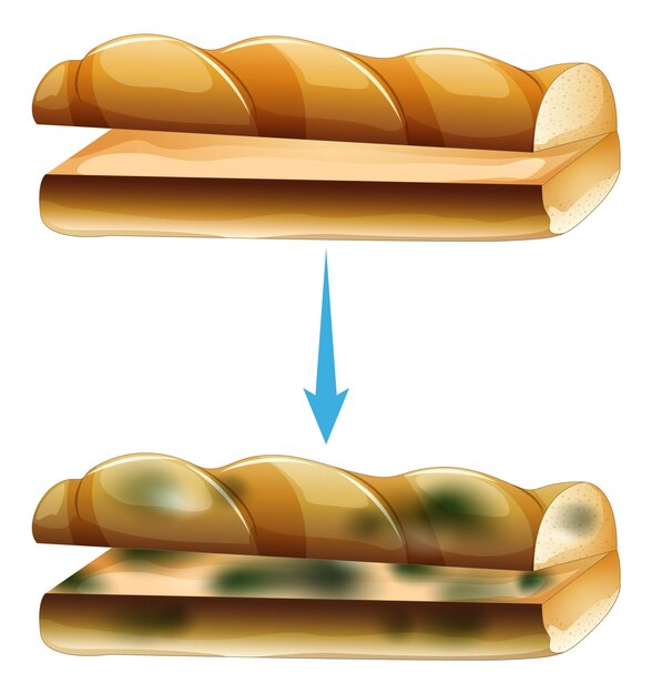 Inedible bread with mould