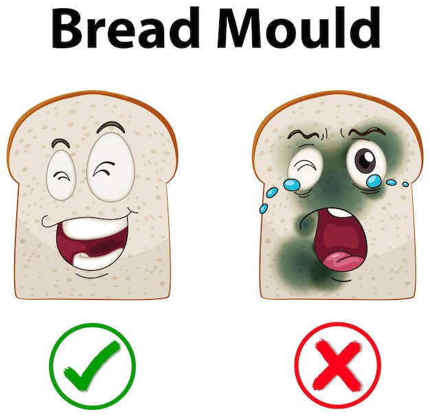 Free vector inedible bread with mould