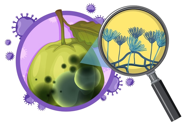 Бесплатное векторное изображение Несъедобная разложившаяся гуава с плесенью