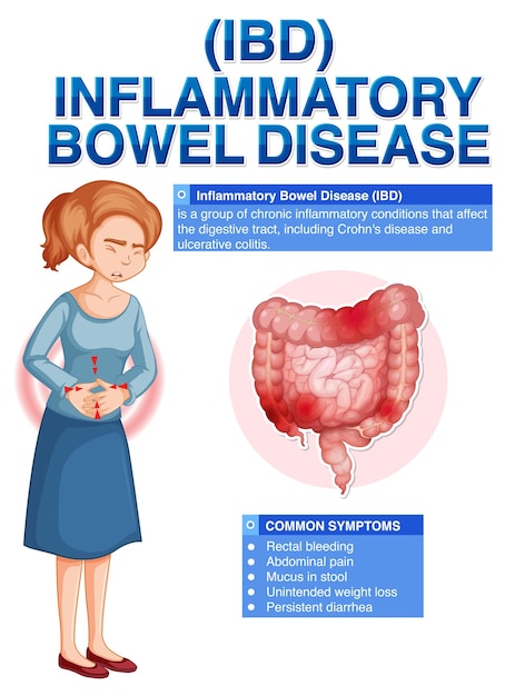Vettore gratuito infografica sulla malattia infiammatoria intestinale ibd