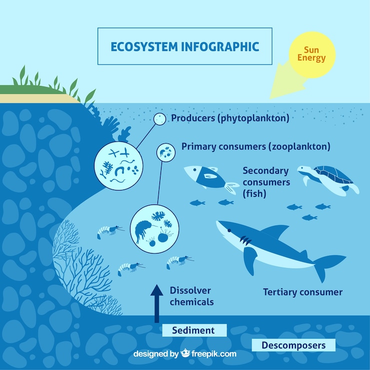 Free Vector infographic ecosystem concept with fish