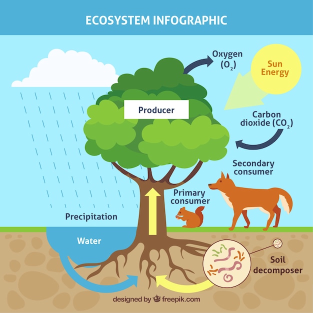 나무와 infographic 생태계 개념