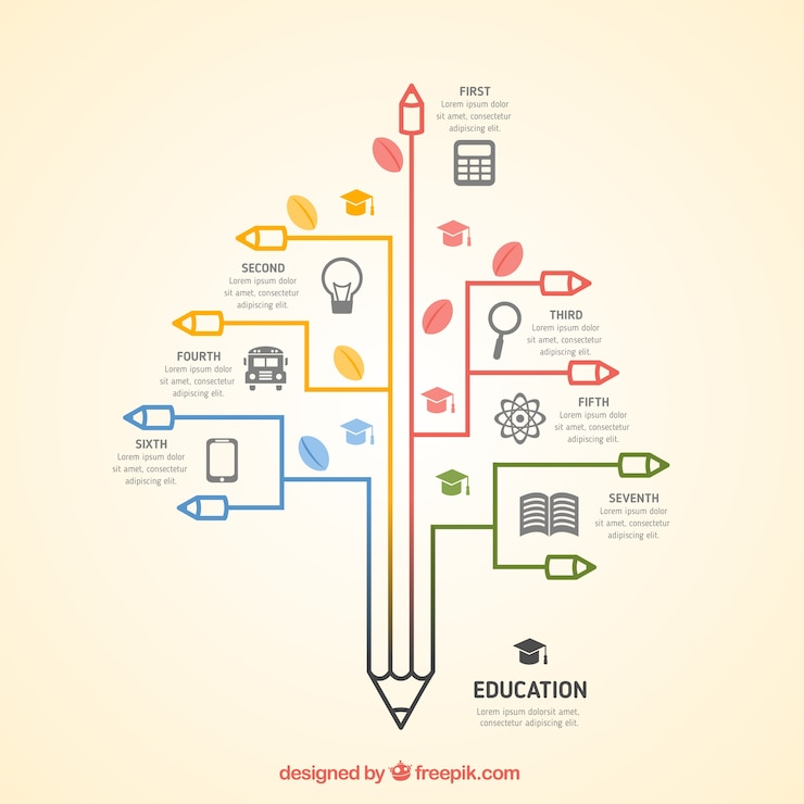 Free Vector infographic of education