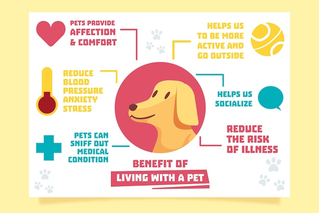 Free vector infographic of living with pet
