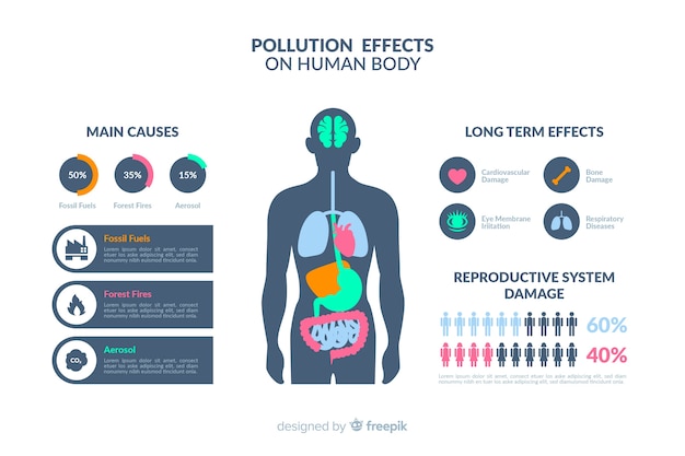 무료 벡터 인체에 대한 오염 영향의 infographic