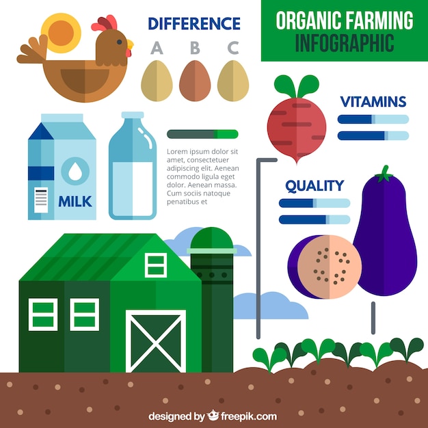 Infographic organic elements in flat design