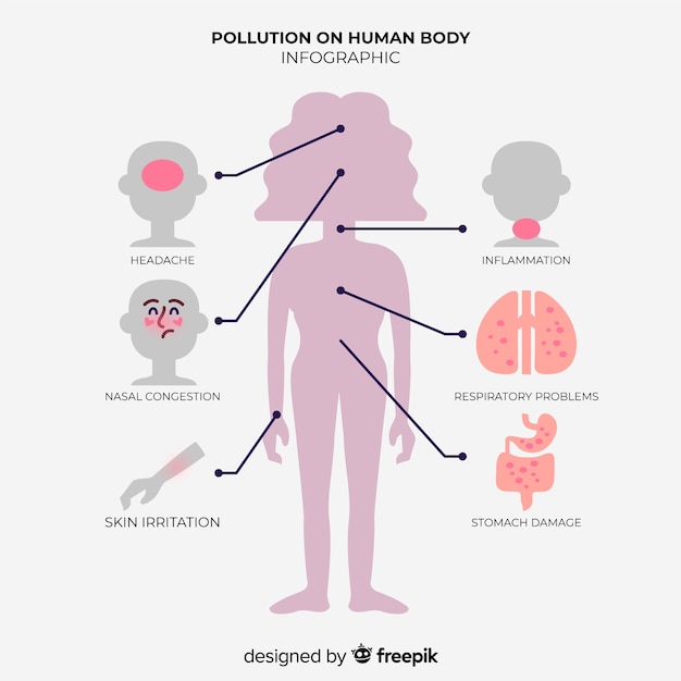 인체에 대한 오염 영향의 Infographic