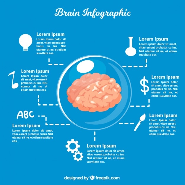 Vettore gratuito template infografica del cervello in design piatto