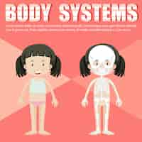 Free vector infographic template of girl and body system