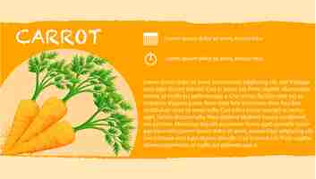 Free vector infographic with fresh carrots