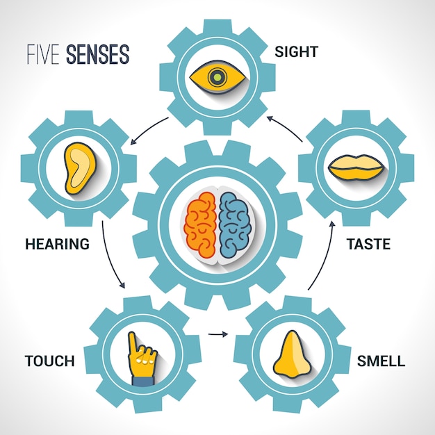 Infographic with gears and five senses