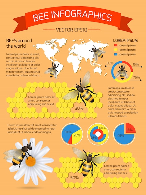무료 벡터 꿀벌에 대한 인포 그래픽