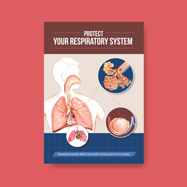 Information about anatomy of the respiratory system and understanding an essential system