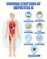 Free vector informative poster of common symptoms hepatitis b