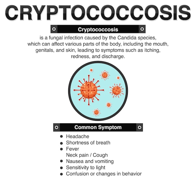 무료 벡터 cryptococcosis의 유익한 포스터